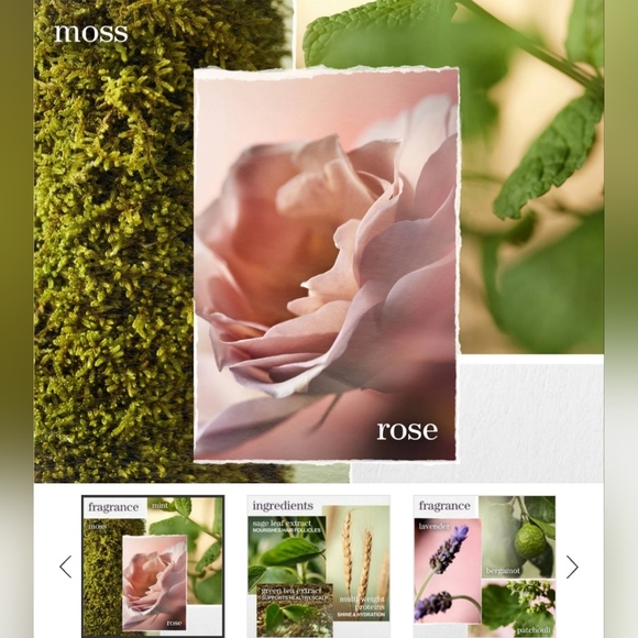 NWT FULL SET Pureology Hydrate Shampoo/Conditioner 100% Vegan DOU - Picture 7 of 8